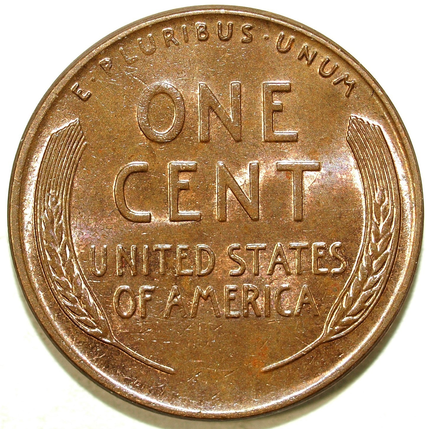 45861920
