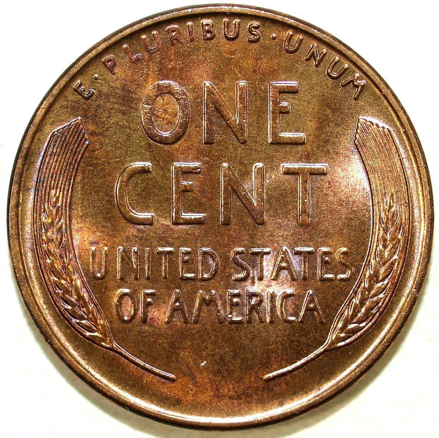 45951823