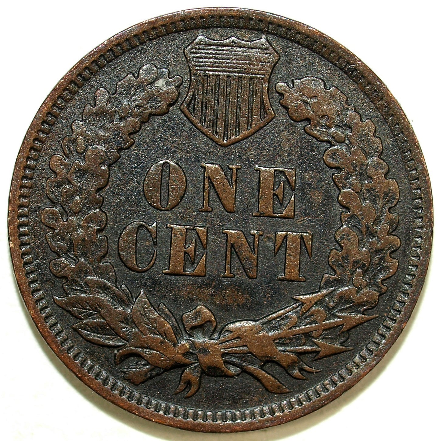 45843556