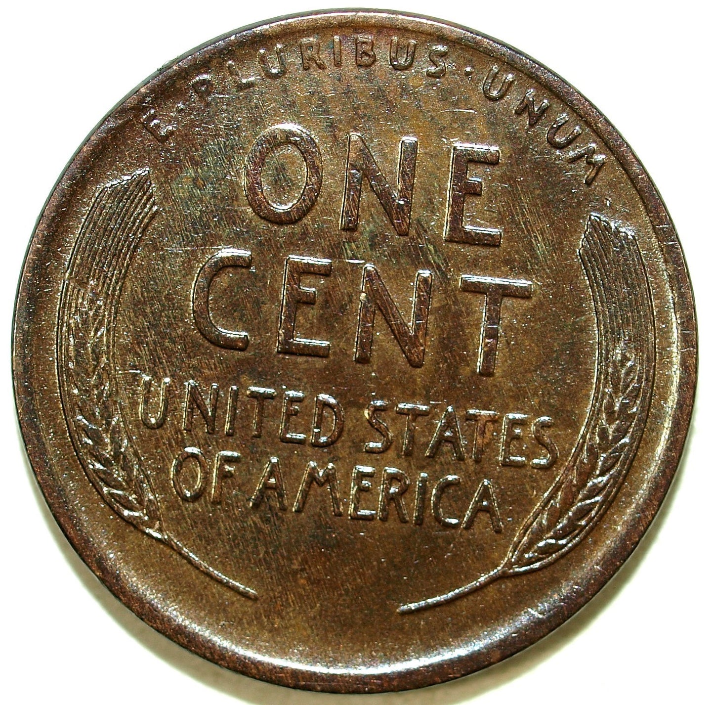 45952529