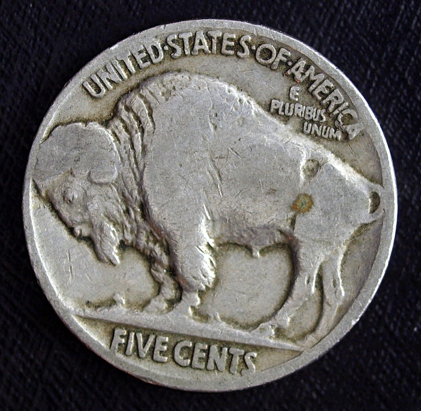 1923 P Buffalo Nickel ☆☆ Circulated ☆☆ Great Set Filler