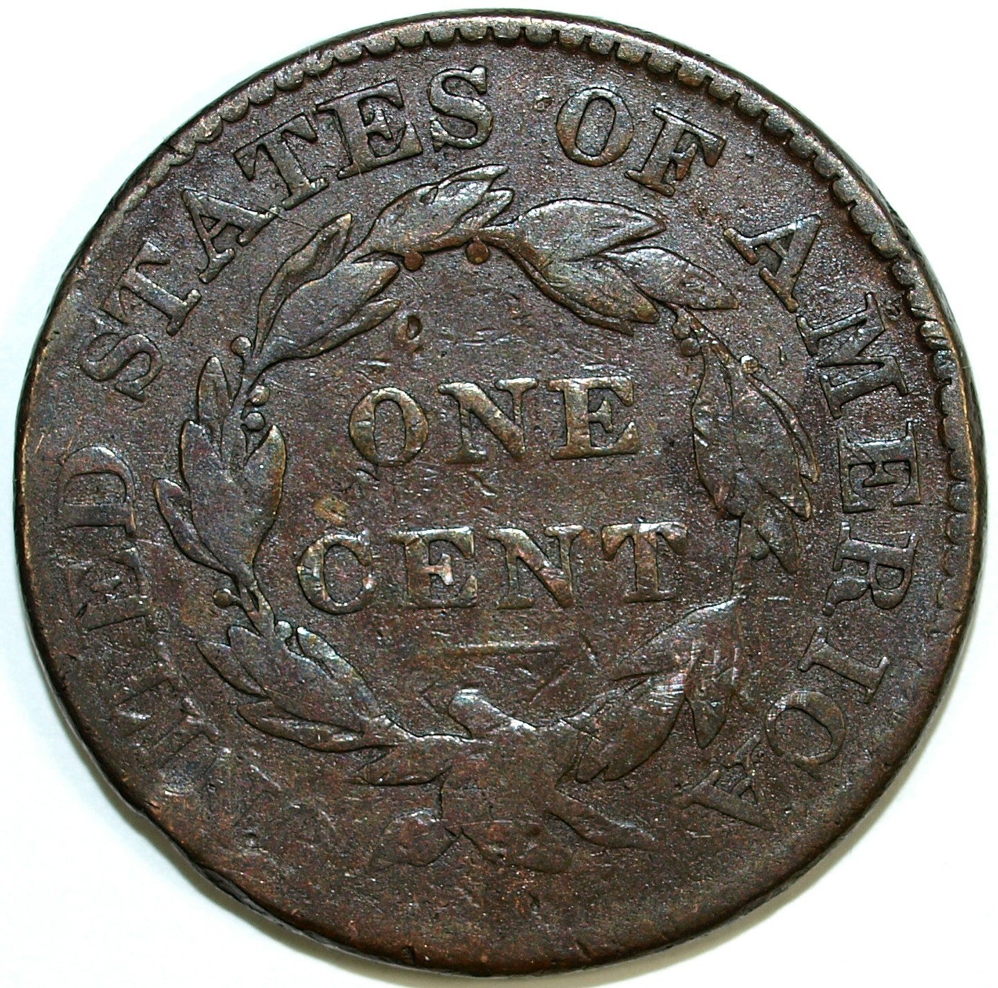 47645026