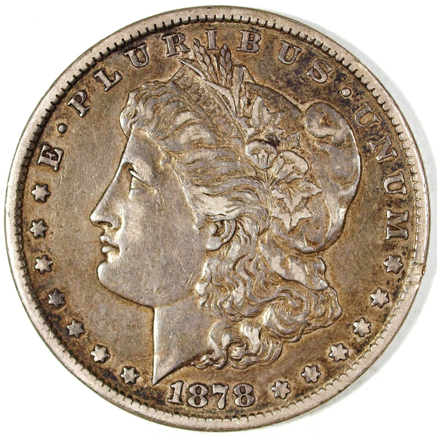 45664153