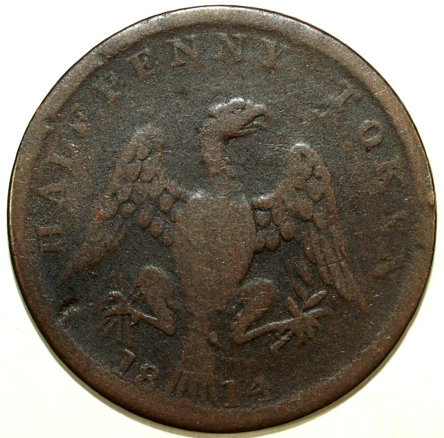 47193729