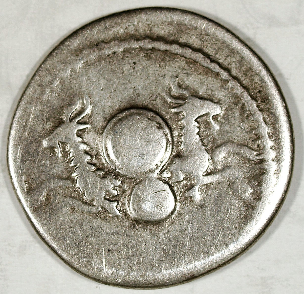 47519211