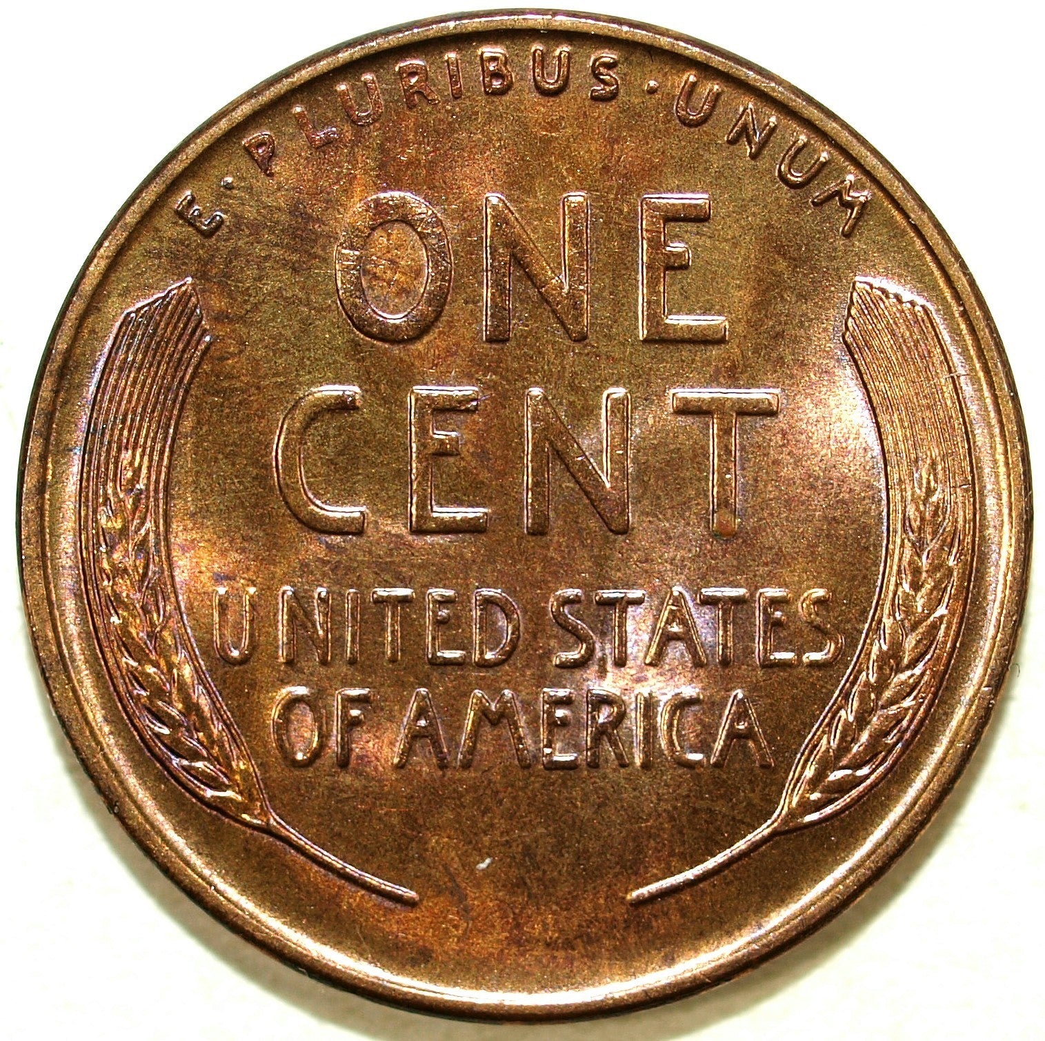 45951823