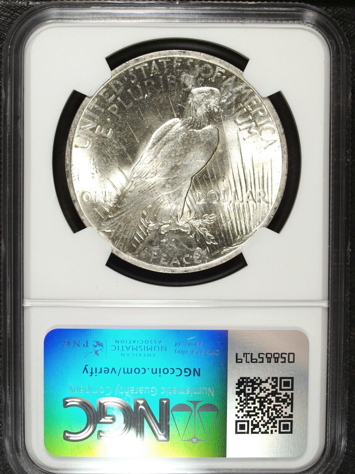 1923 P NGC MS 63 Peace Silver Dollar ☆☆ Great Collectible ☆☆ 028