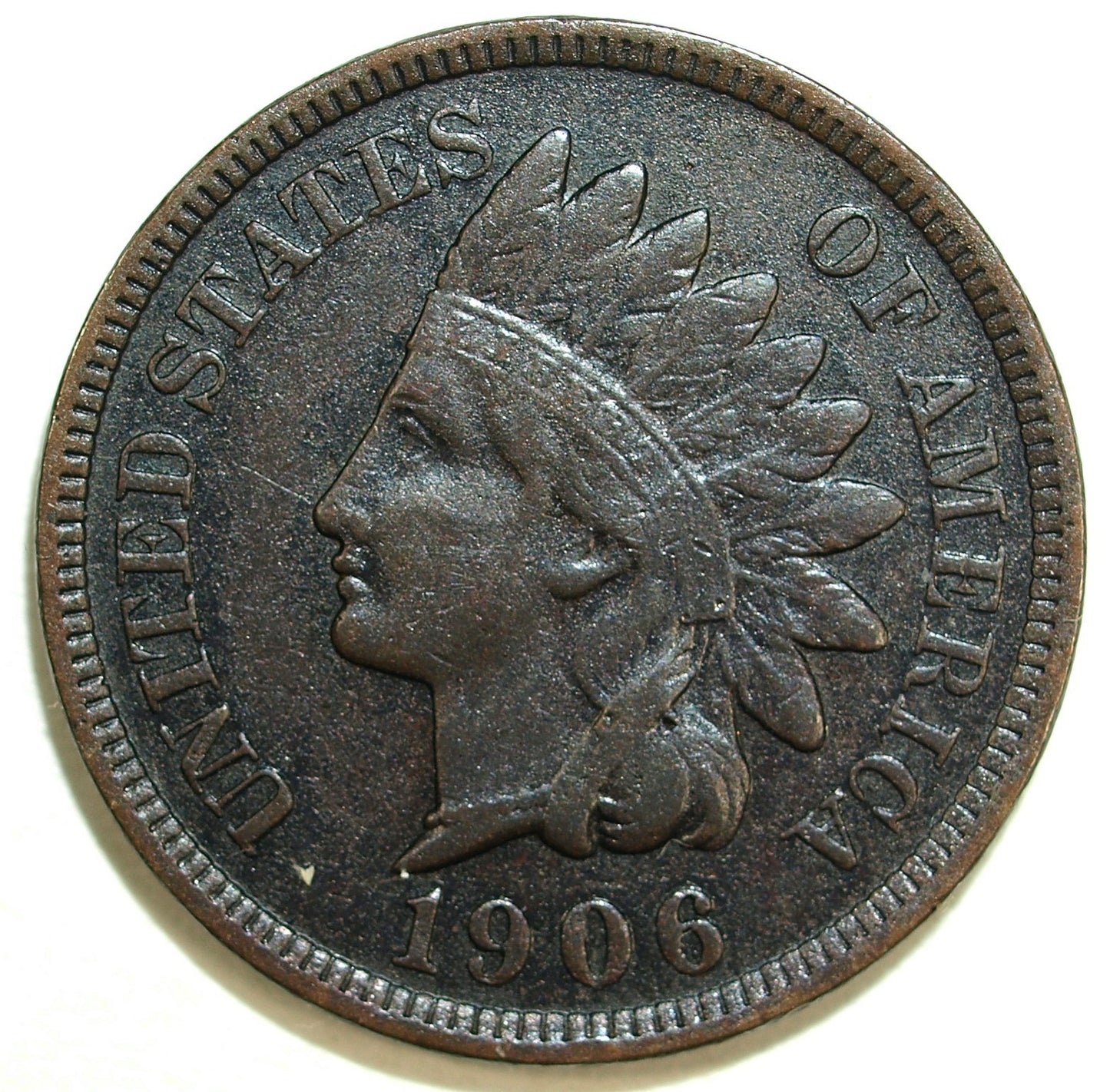 45843556