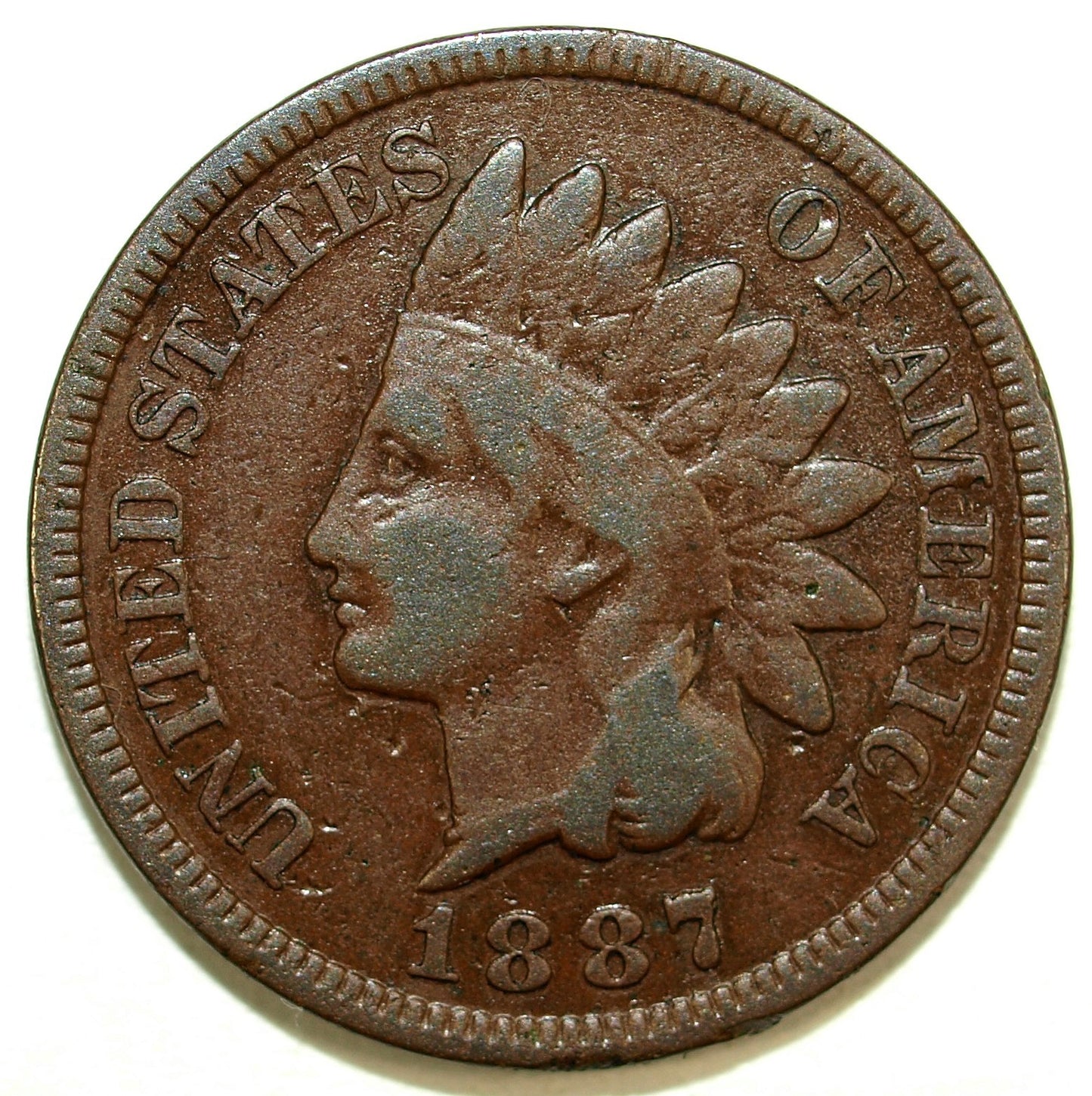 45843491
