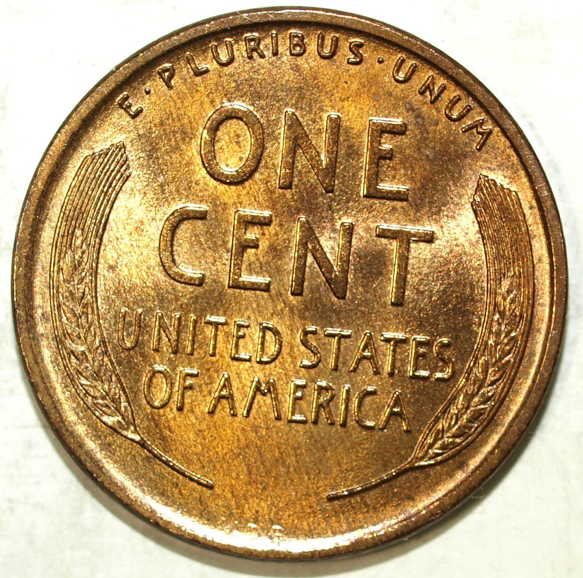 47895013