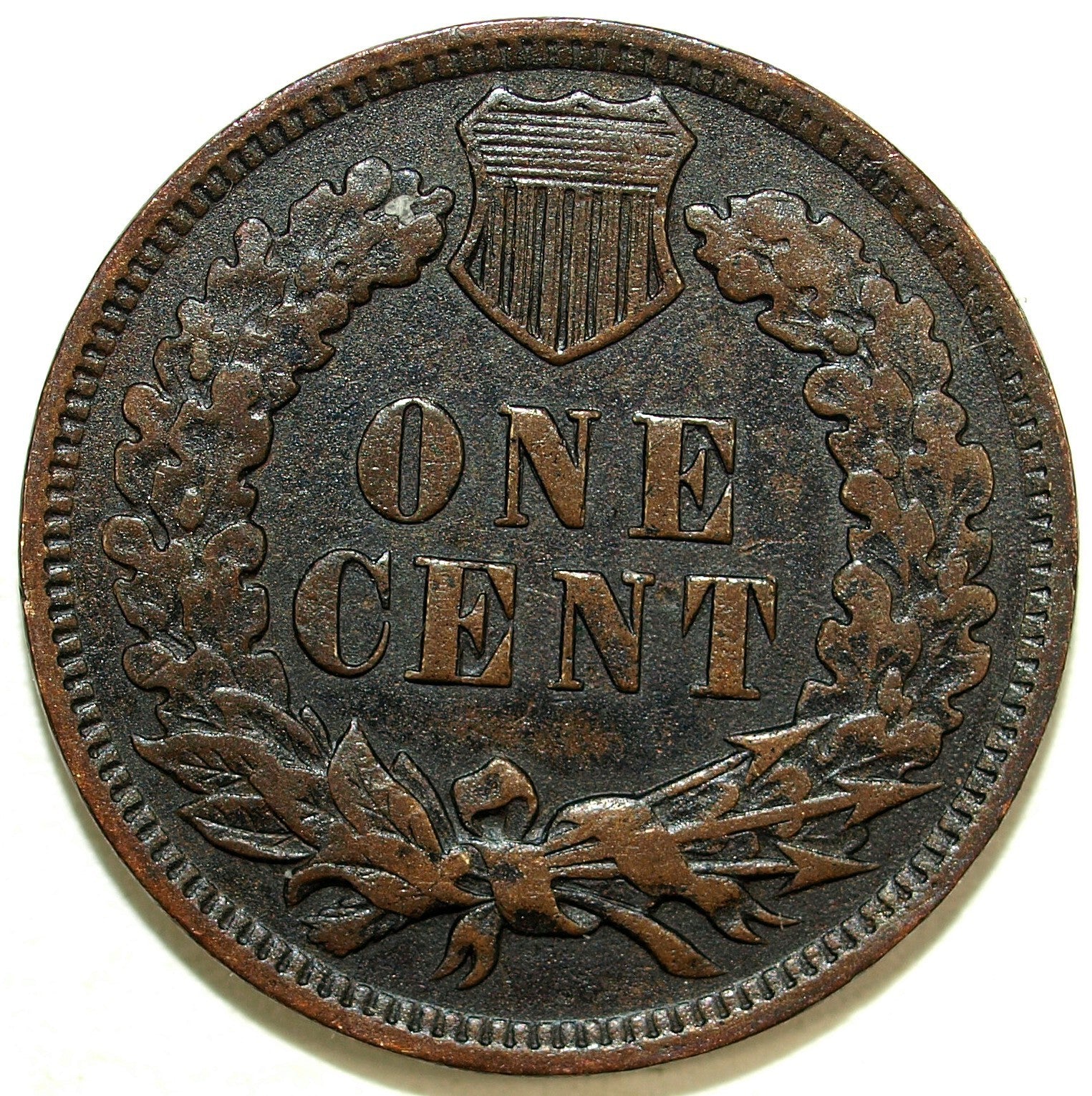 45843556