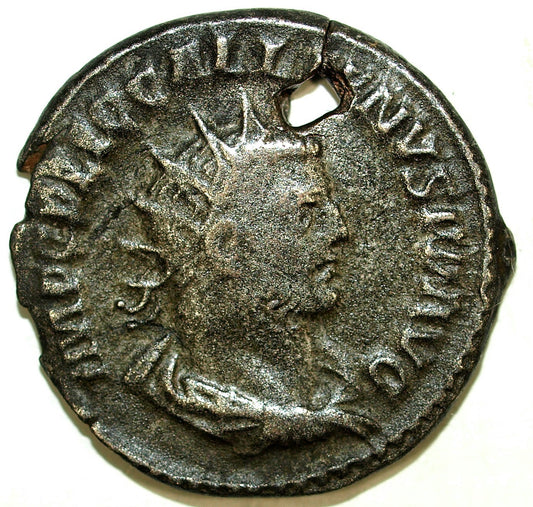 47501371
