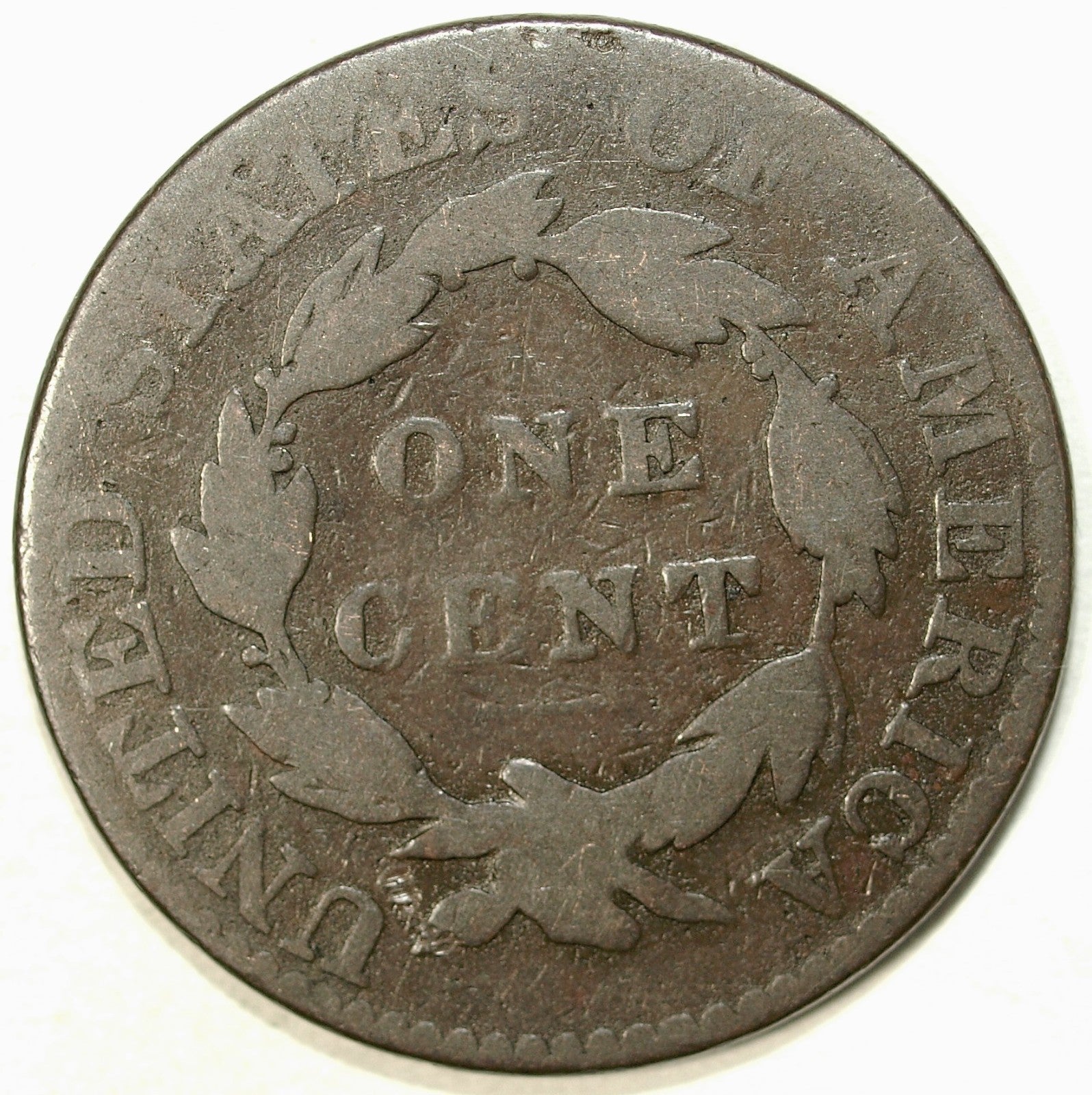 46271531