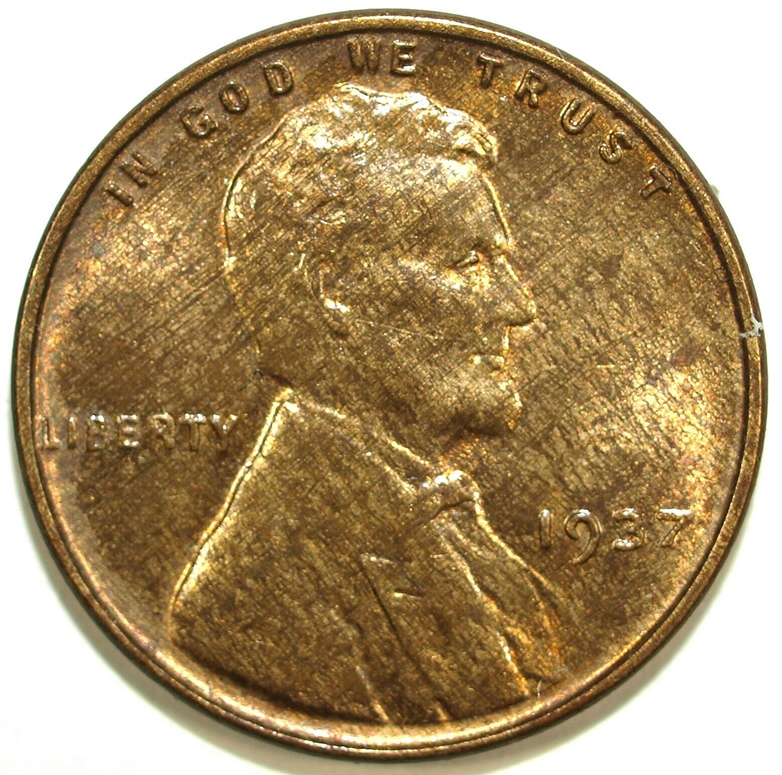 44095031