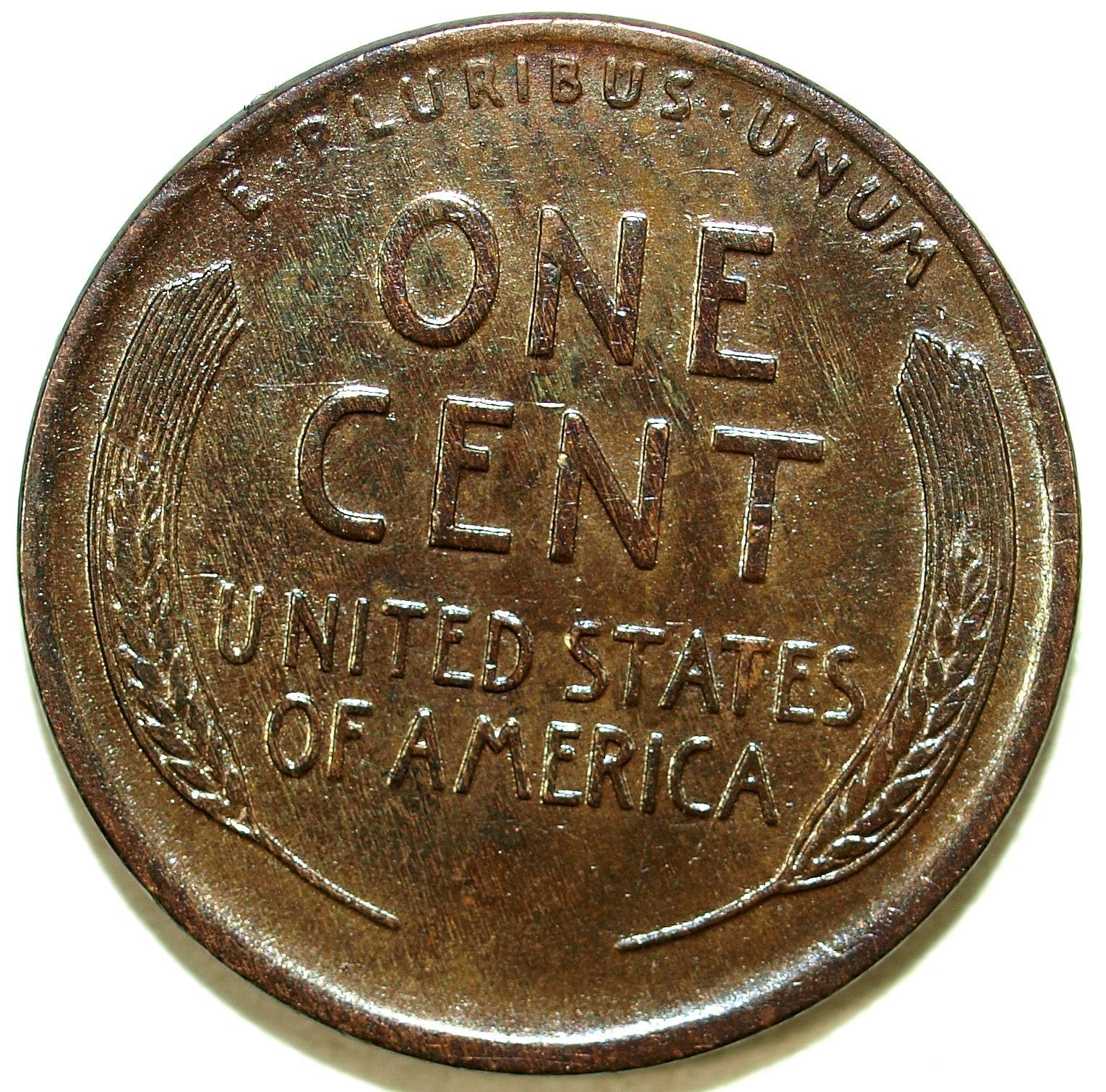 45952529