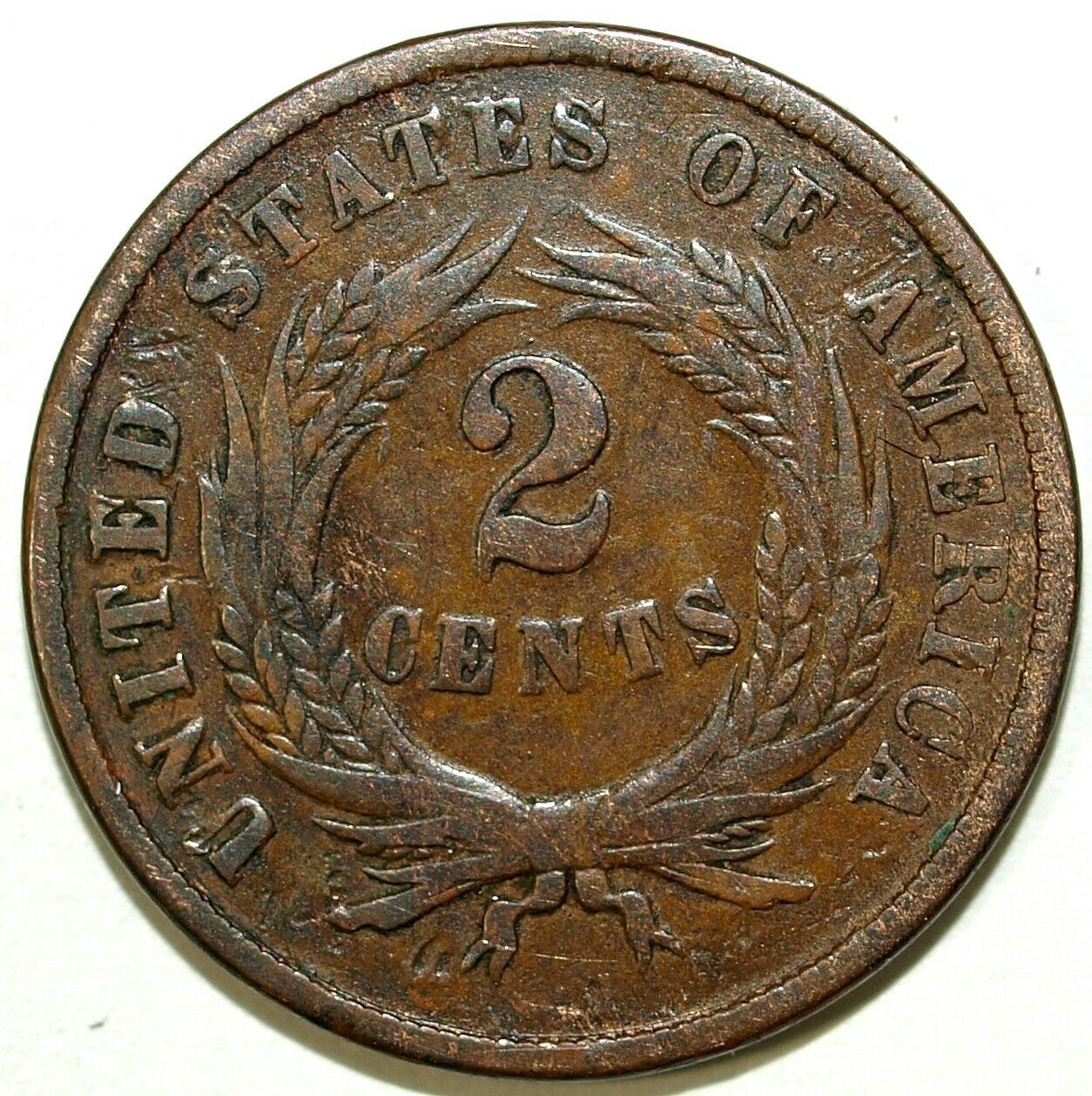 44420034