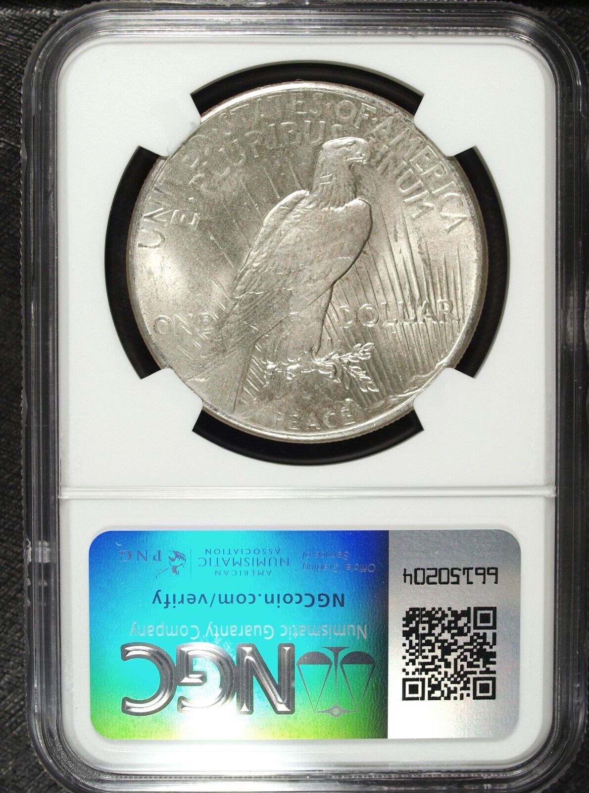 1925 P NGC MS 64 Peace Silver Dollar ☆☆ Great Collectible 007