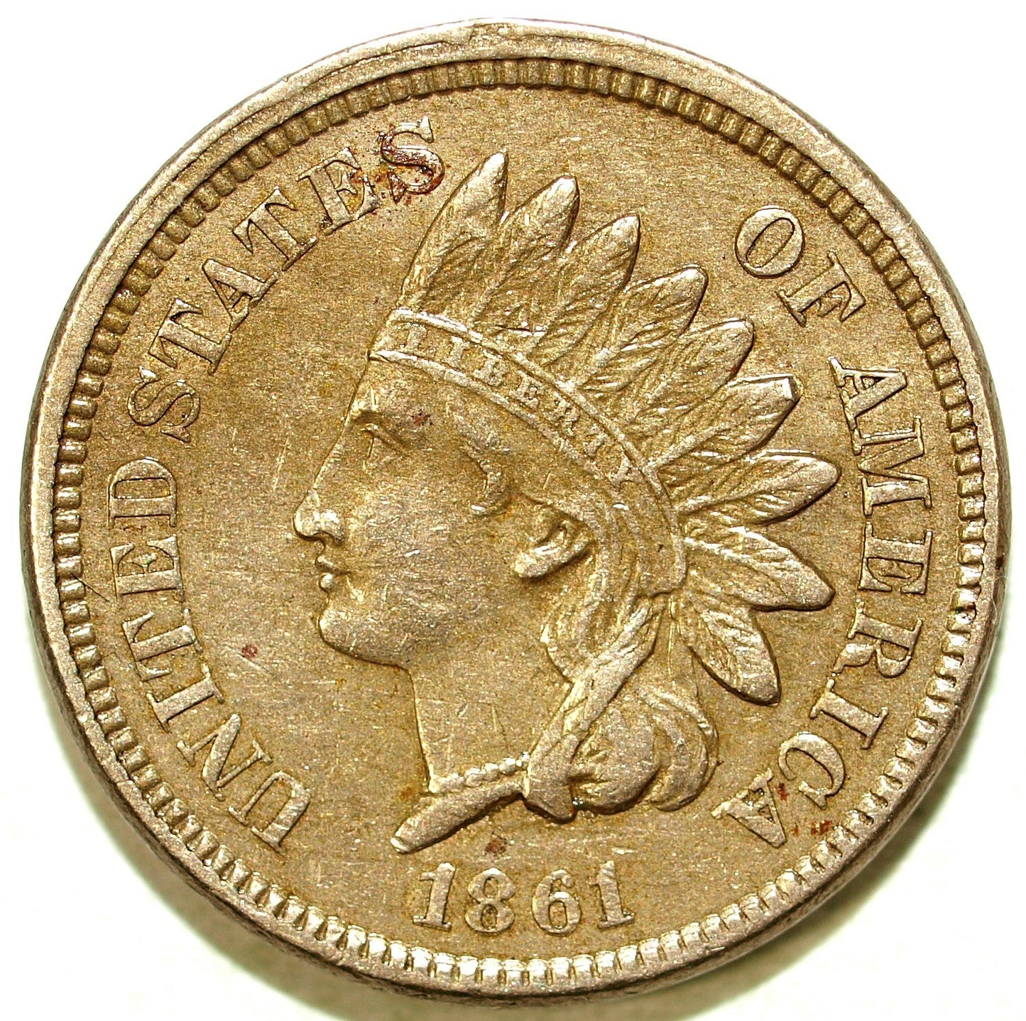 46293402