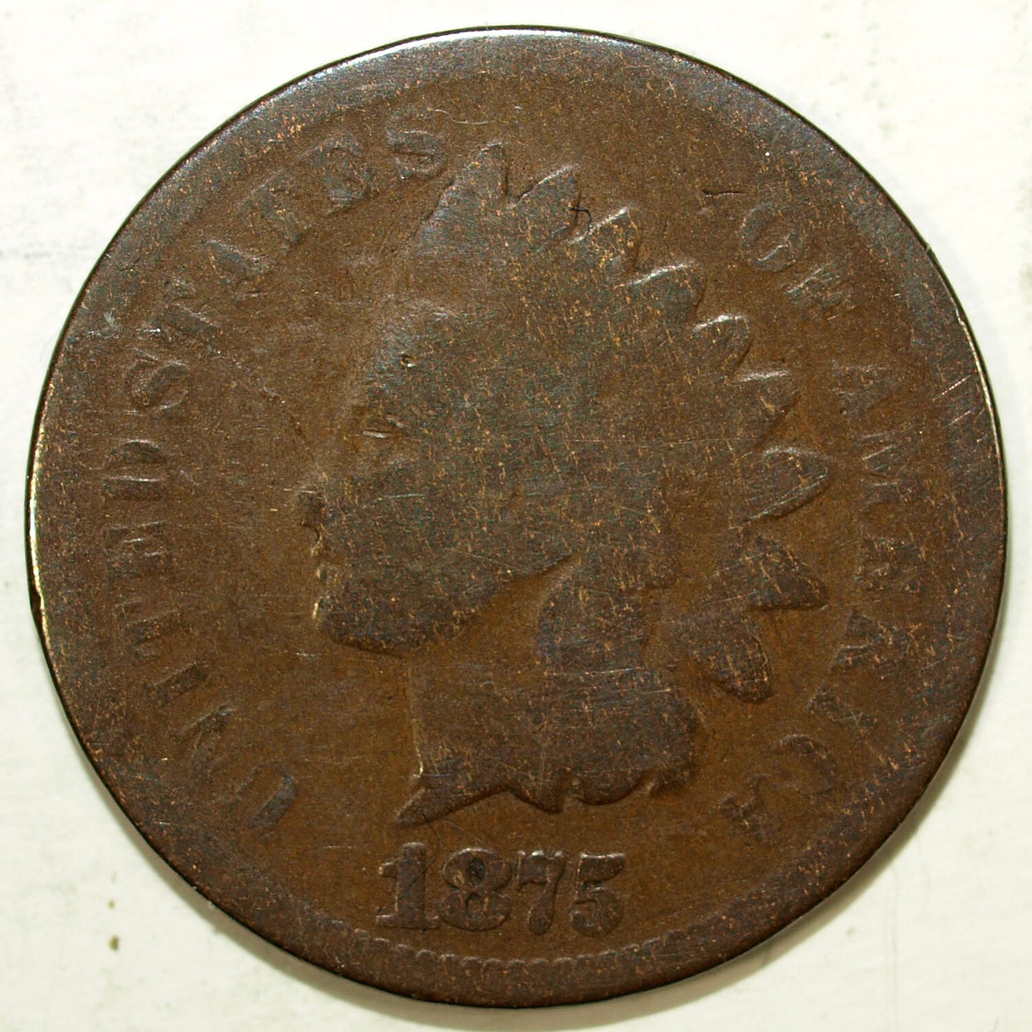 47645303