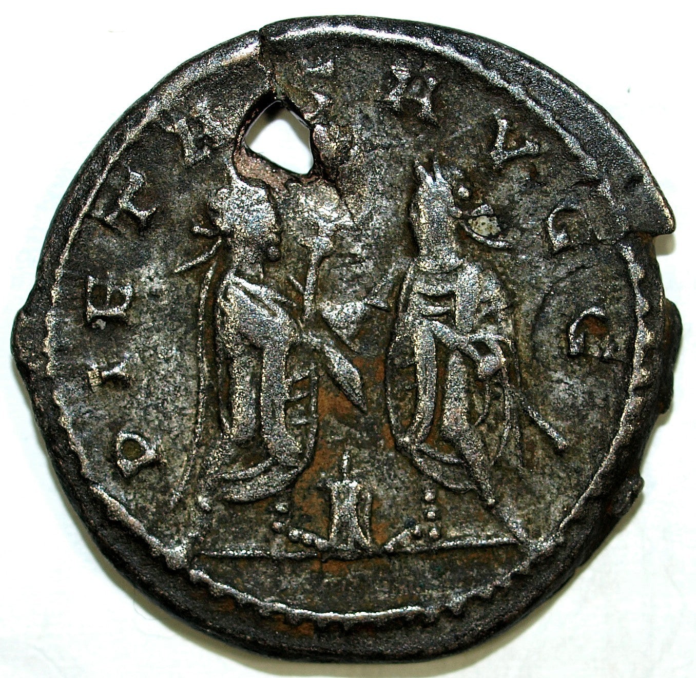 47501371