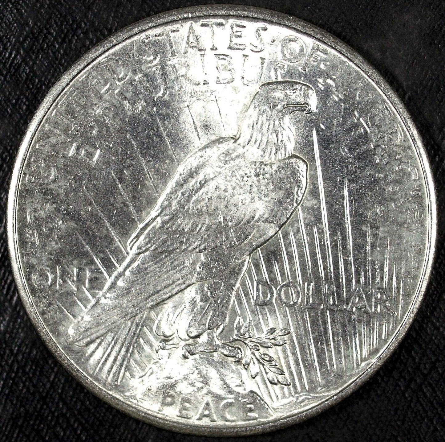 1925 P Peace Silver Dollar ☆☆UnCirculated ☆☆ Great Set Filler 207