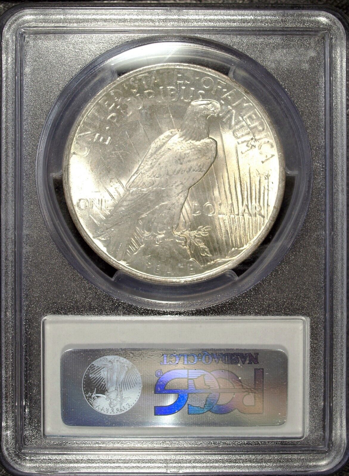 1923 P PCGS MS 64 Peace Silver Dollar ☆☆ UnCirculated ☆☆ Great Set Filler 140