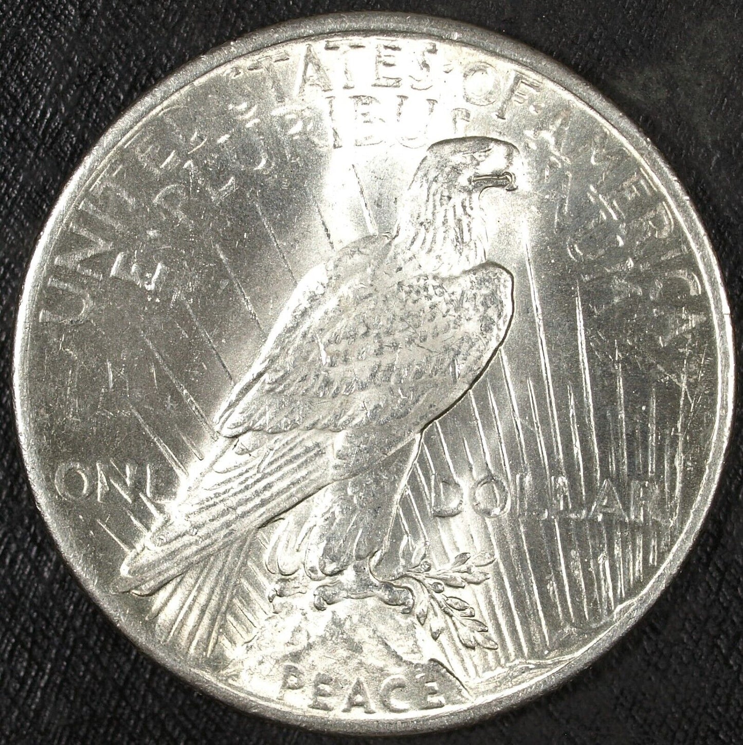 1925 P Peace Silver Dollar ☆☆UnCirculated ☆☆ Great Set Filler 206