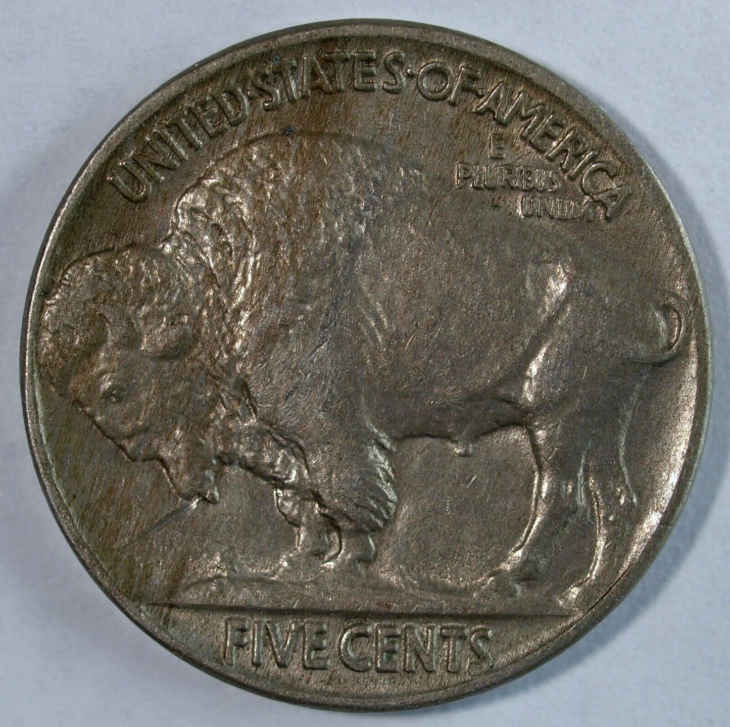 1937 P Buffalo Nickel ☆☆ Circulated Nickel ☆☆ Great Book Filler 557