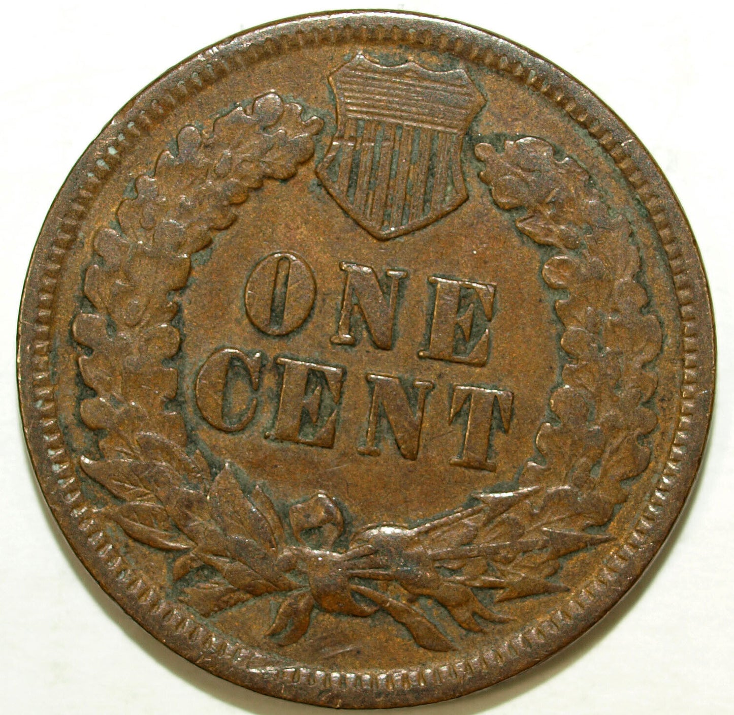 1881 Indian Head Circulated Cent ☆☆ Great Set Filler ☆☆ 391