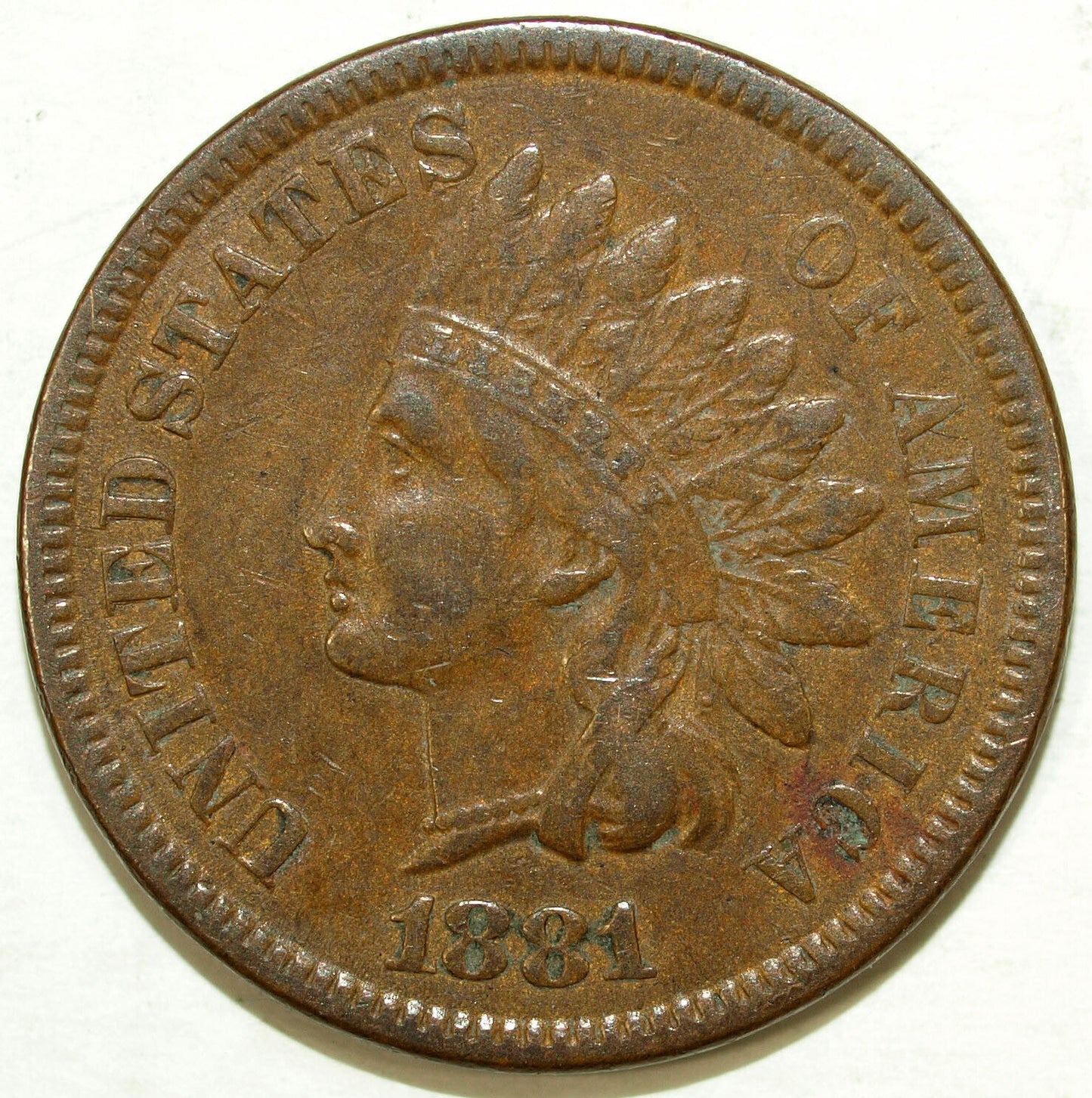 1881 Indian Head Circulated Cent ☆☆ Great Set Filler ☆☆ 391