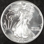 1989 U.S. Mint American Silver Eagle ☆☆ Uncirculated ☆☆ Great Collectible 500