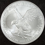 2022 U.S. Mint American Silver Eagle ☆☆ Uncirculated ☆☆ Great Collectible 609