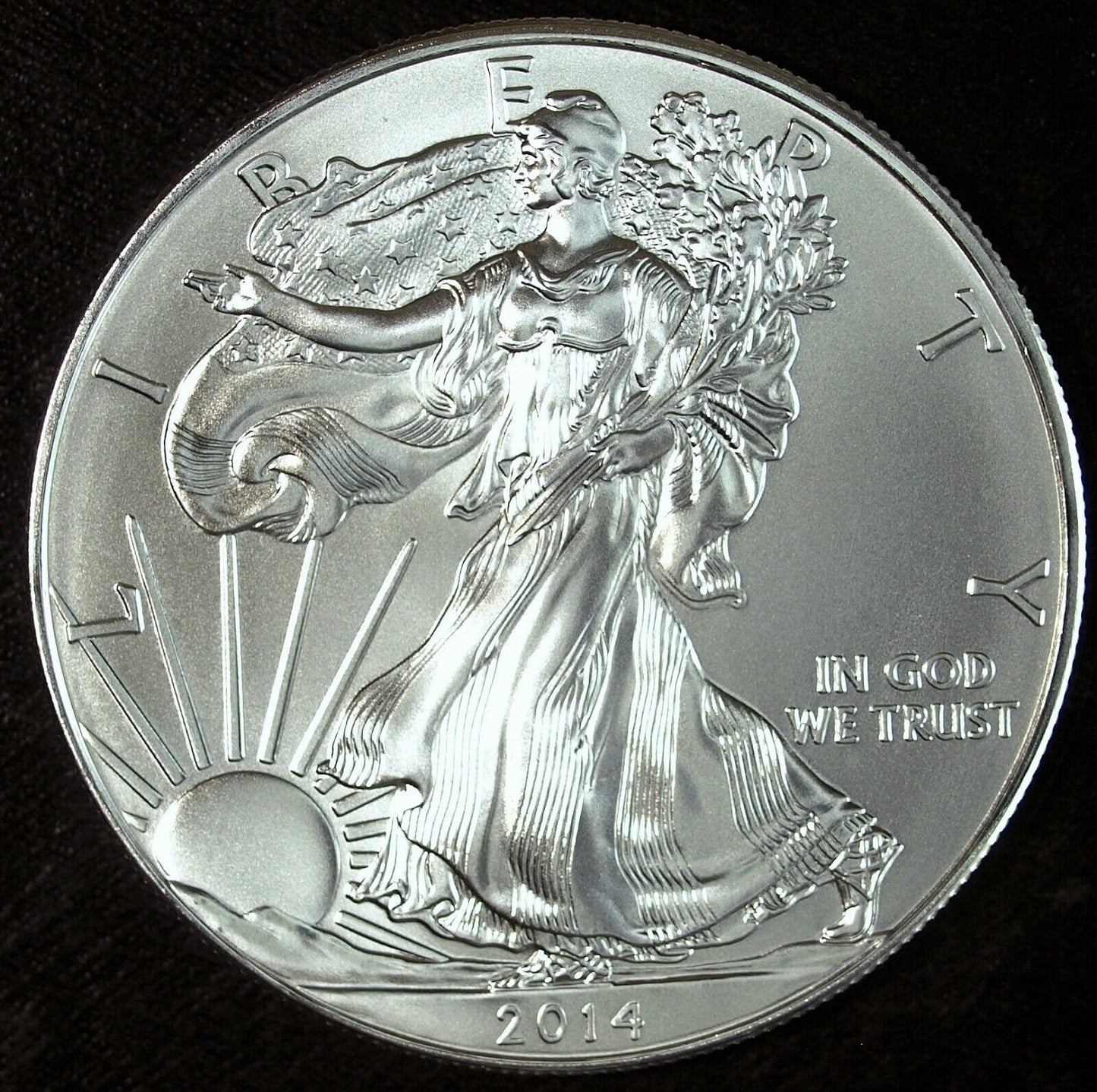 2014 American Silver Eagle ☆☆ Uncirculated ☆☆ Great Collectible 217
