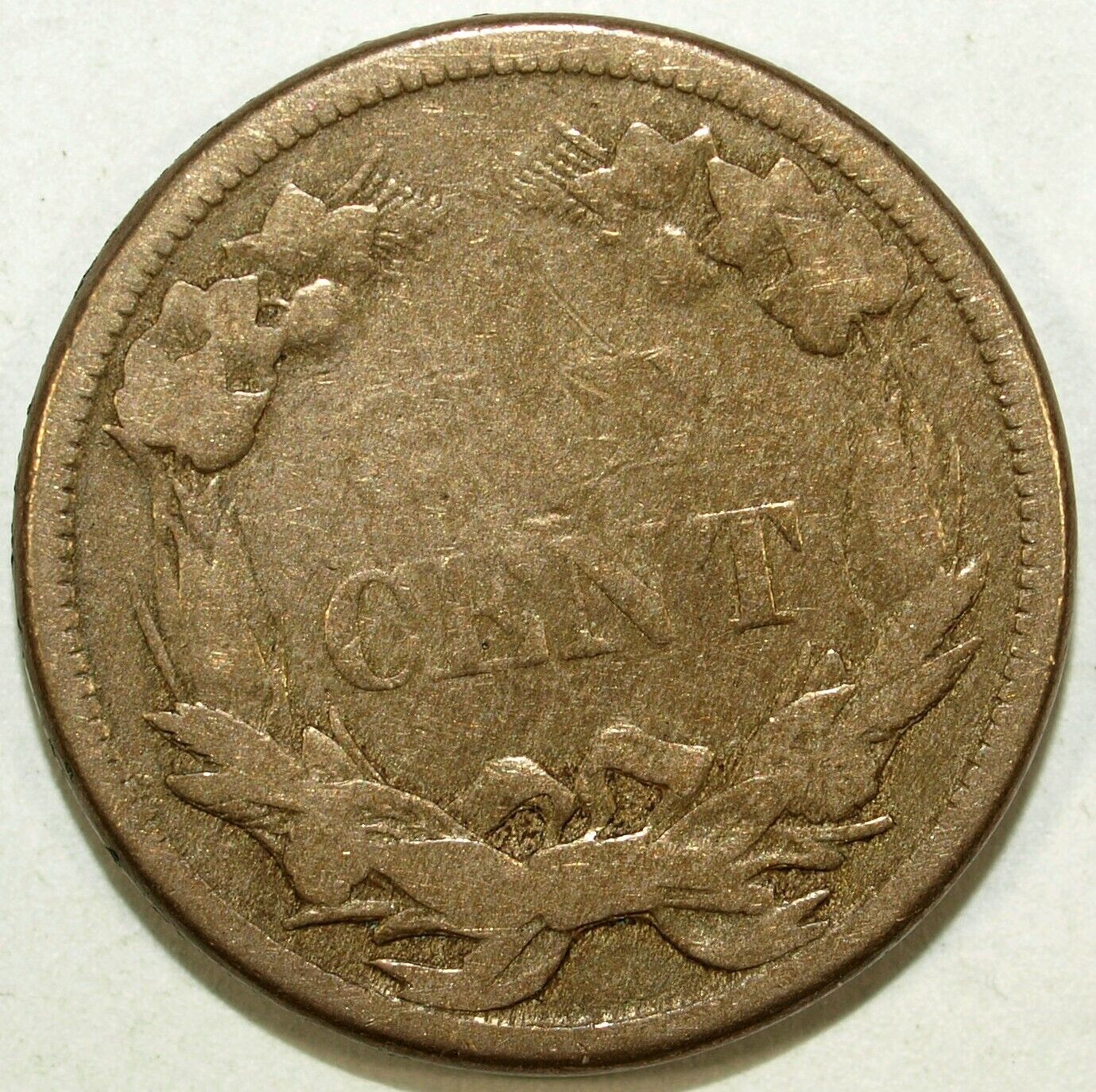 1858 Flying Eagle Circulated Cent ☆☆ Great For Sets ☆☆ Small Letters 268