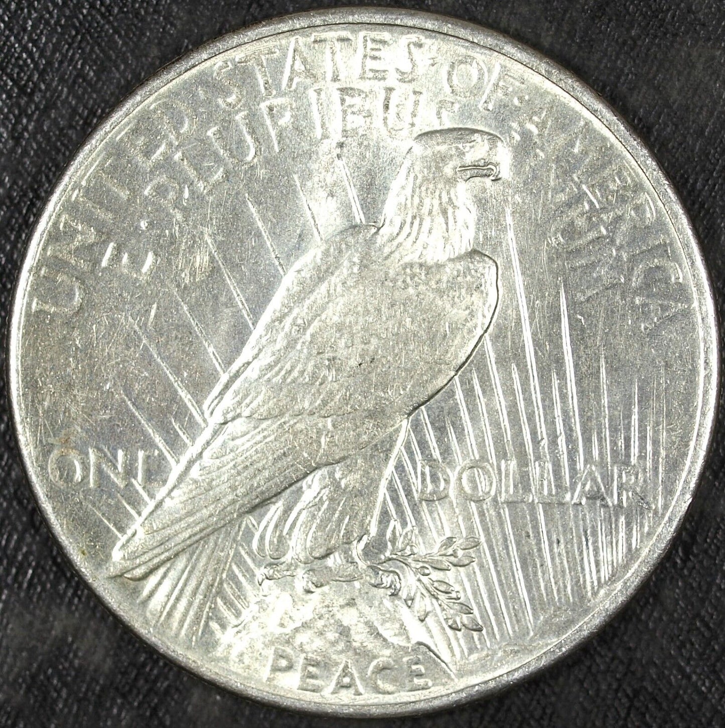 1925 P Peace Silver Dollar ☆☆Almost UnCirculated ☆☆ Great Set Filler 208