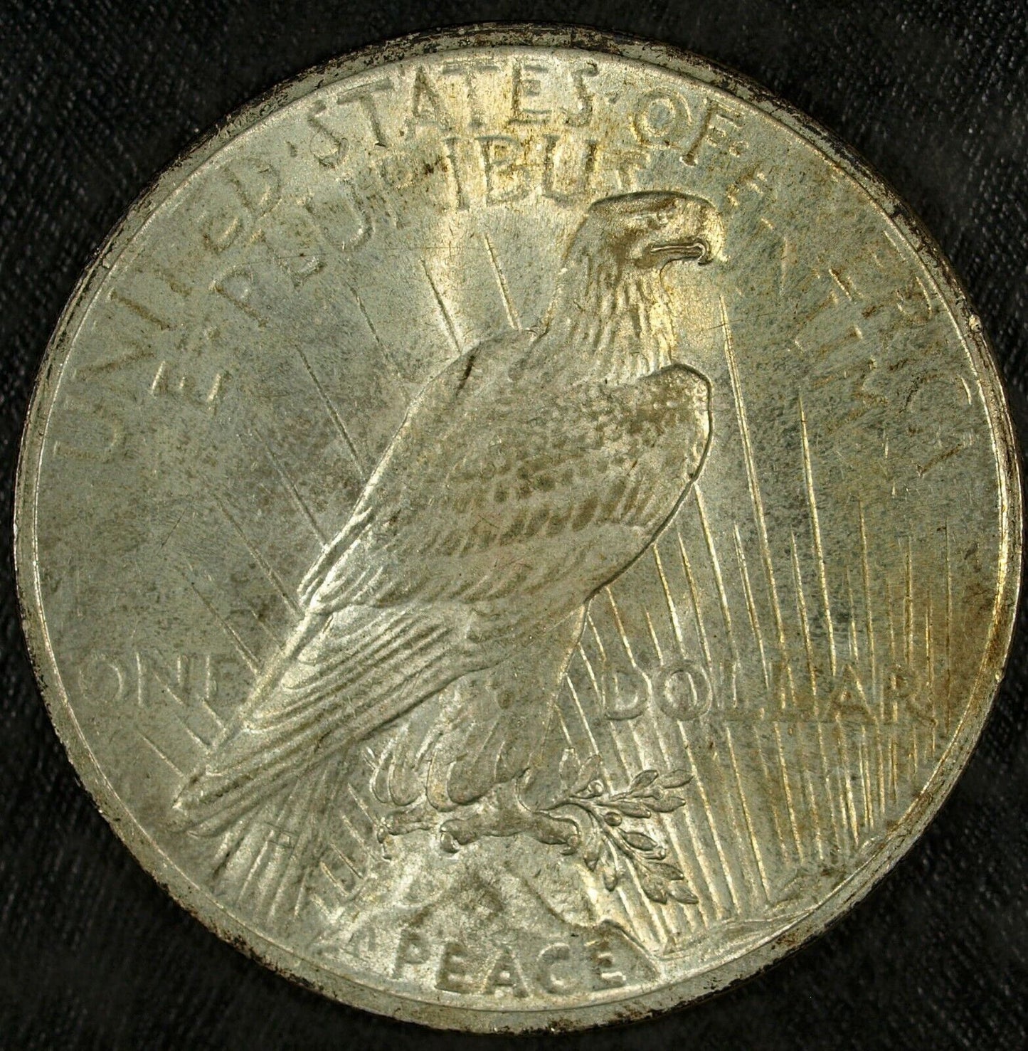 1924 P Peace Silver Dollar ☆☆ UnCirculated ☆☆ Great Set Filler 405