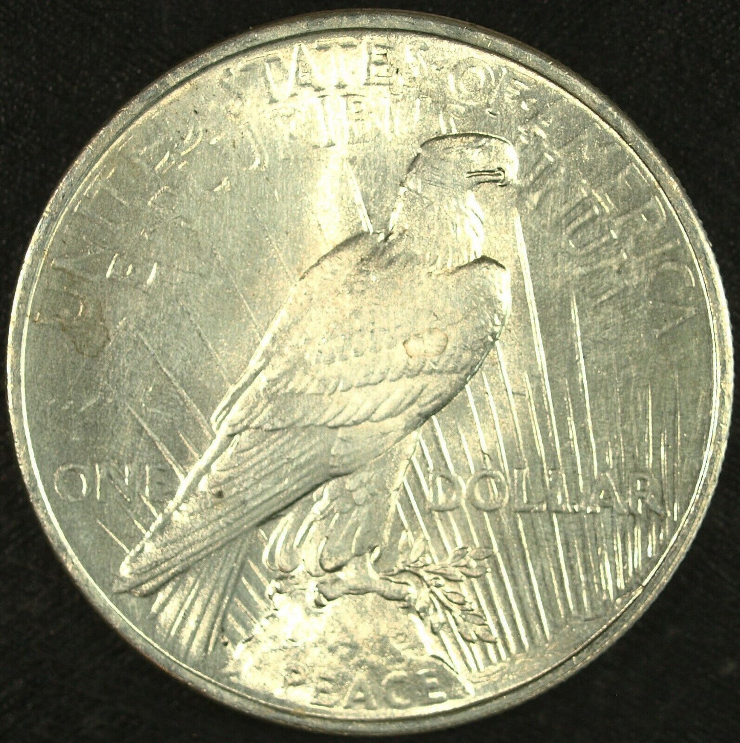 1924 P Peace Silver Dollar ☆☆ UnCirculated ☆☆ Great Set Filler 307