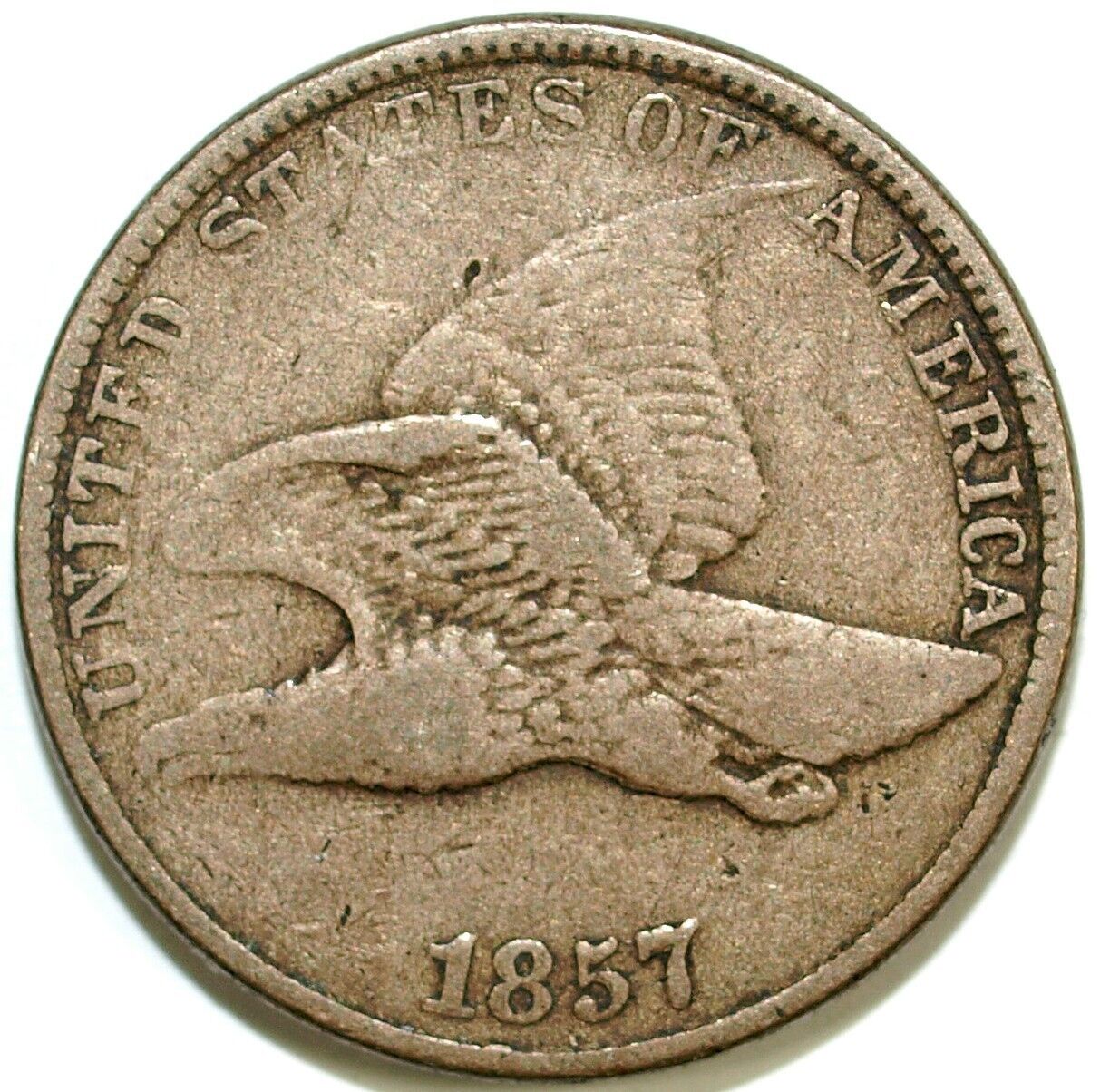 1857 Flying Eagle Circulated Cent ☆☆ Great For Sets ☆☆ 401