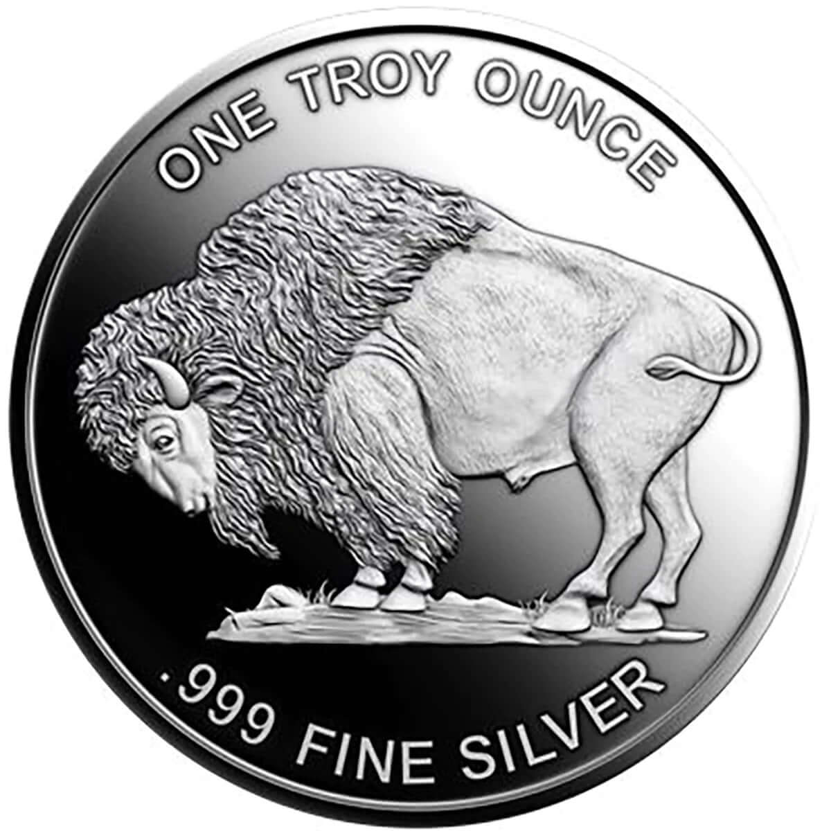 10-1 Ounce Indian Buffalo Fine .999 Silver Round from Mason Mint ☆☆